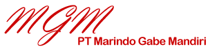 PT Marindo Gabe - Partner Cisco, HPE indonesia, F5, Rubrik, Palo Alto, Dell, Lenovo, Samsung, Kaspersky, Aruba, Infoblok, Sonicwall